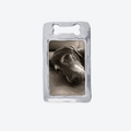 pet remembrance frame