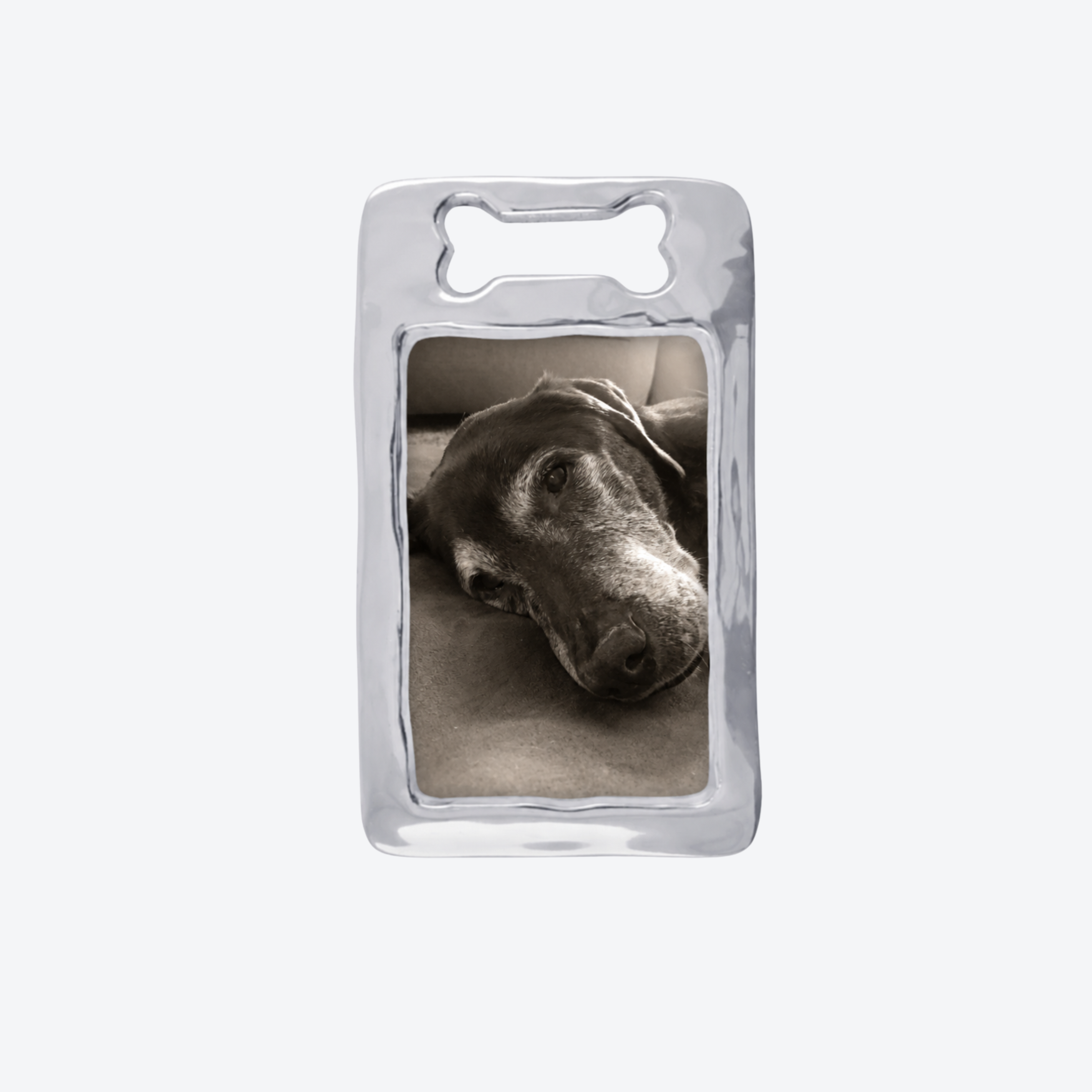 pet remembrance frame