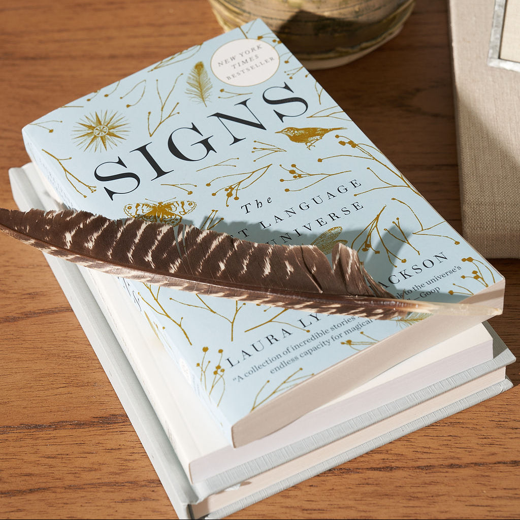 signs: the secret language of the universe